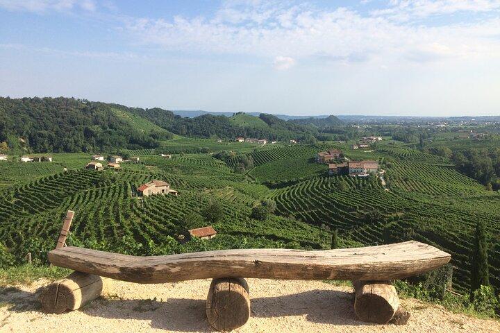 Tour de día completo y cata de vinos en la región de Prosecco