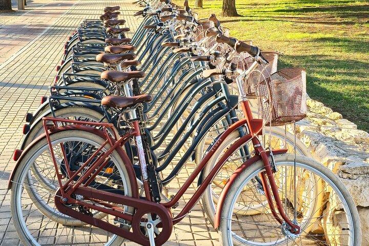 Valencia Bike Tour attraverso i punti caldi locali con storia