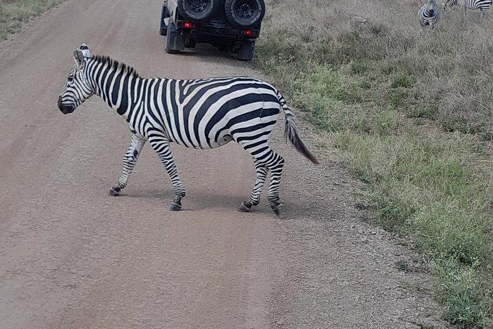 Parco nazionale di Nairobi Giraffe Center and Carnivore Restaurant