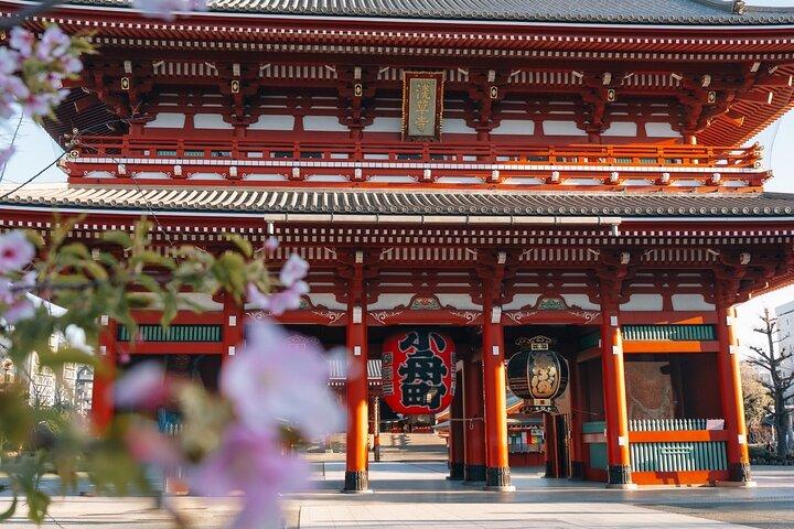 Tokyo Early Morning Tour Santuário Asakusa Meiji (Opção Privada)