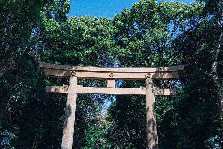 東京早朝ツアー浅草明治神宮(プライベートオプト)