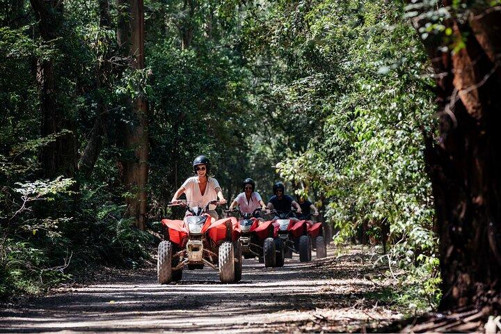 Quadfahren, Koalas und Kängurus - Private Tour