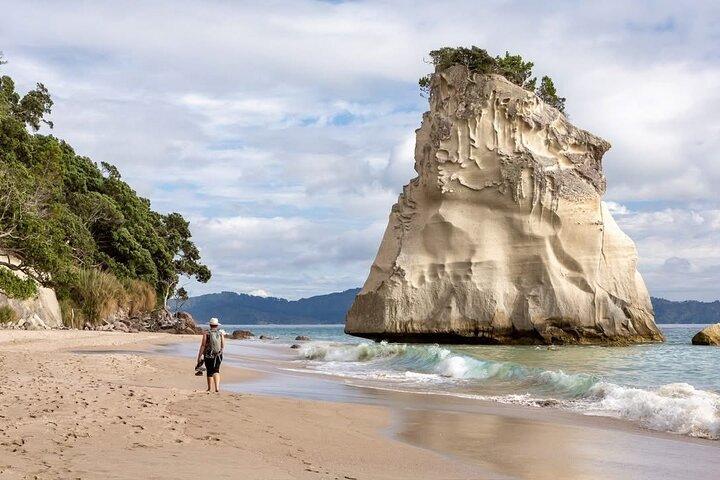 Cathedral Cove & Hot water beach -Heldagstur: PRIVAT TUR