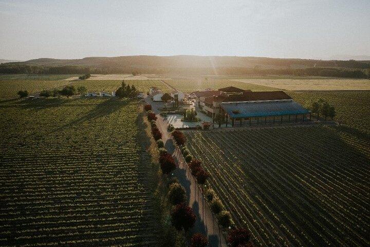La Rioja Eine Reise durch Weinberge und Tradition
