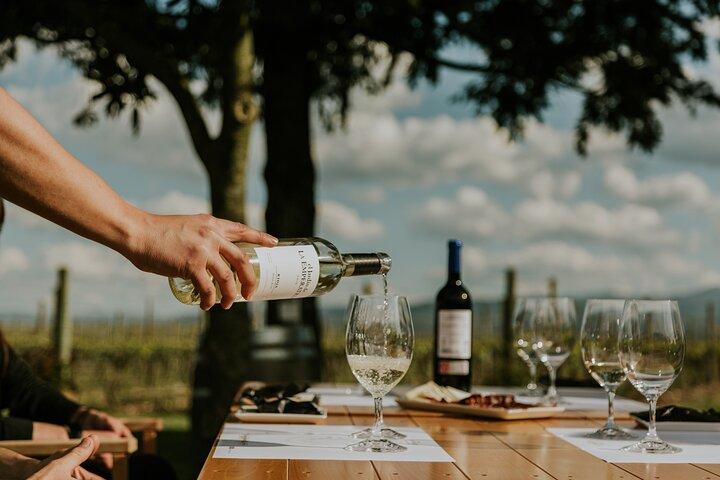 La Rioja Eine Reise durch Weinberge und Tradition