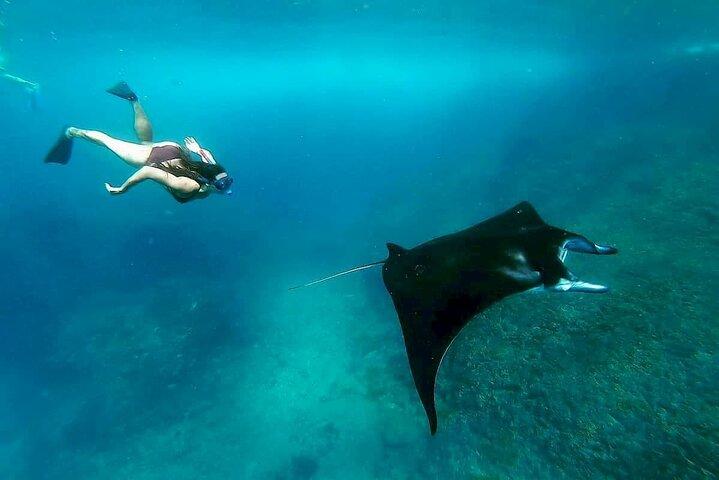 Snorkel con Mantarrayas en Nusa Penida