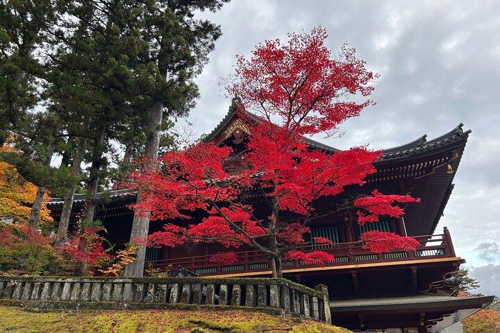 Full day Nikko Tour with Guide-driver 11-20 guests