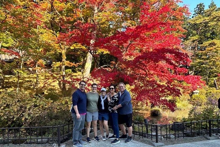 Full day Nikko Tour with Guide-driver 11-20 guests