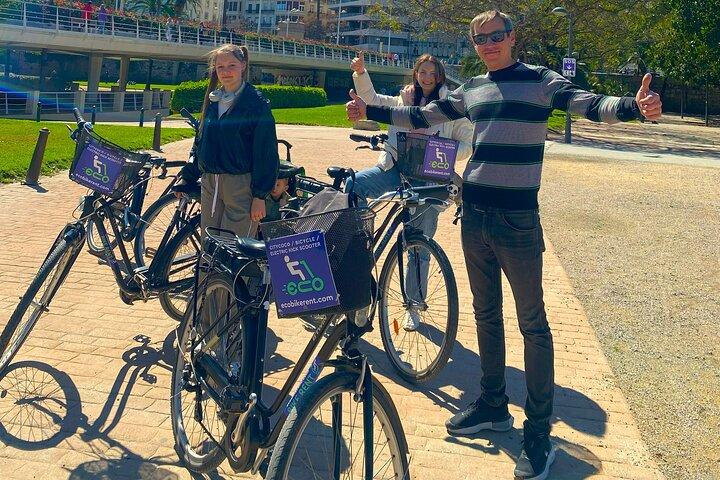 Tour privato della città in e-bike della storia di Valencia, Giardini