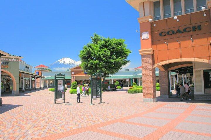 Mount Fuji Panoramic View and Shopping Day Tour