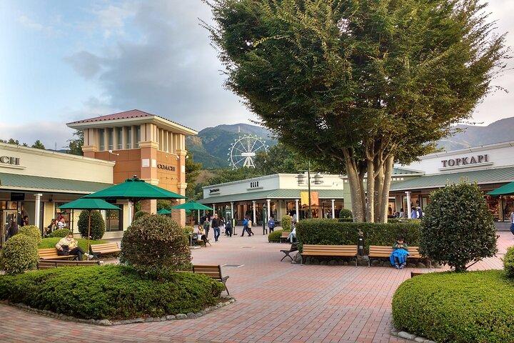 Mount Fuji Panoramic View and Shopping Day Tour