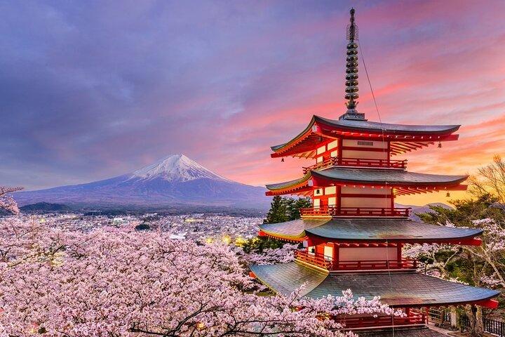 Mount Fuji Panoramic View and Shopping Day Tour