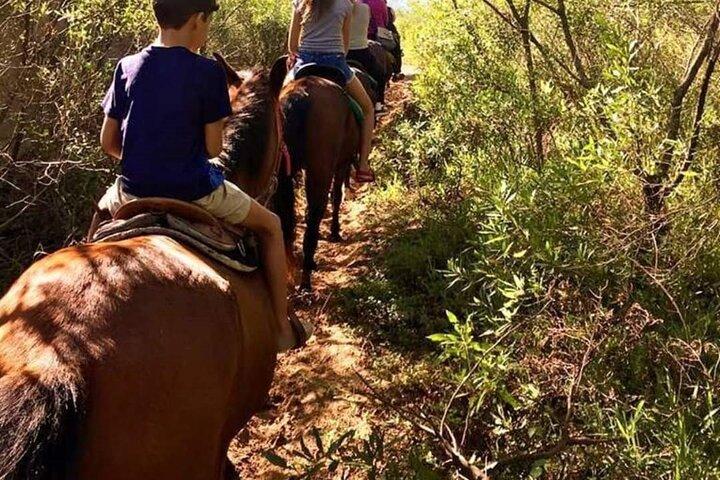 Visita in quilombo con passeggiata a cavallo e tour delle cascate