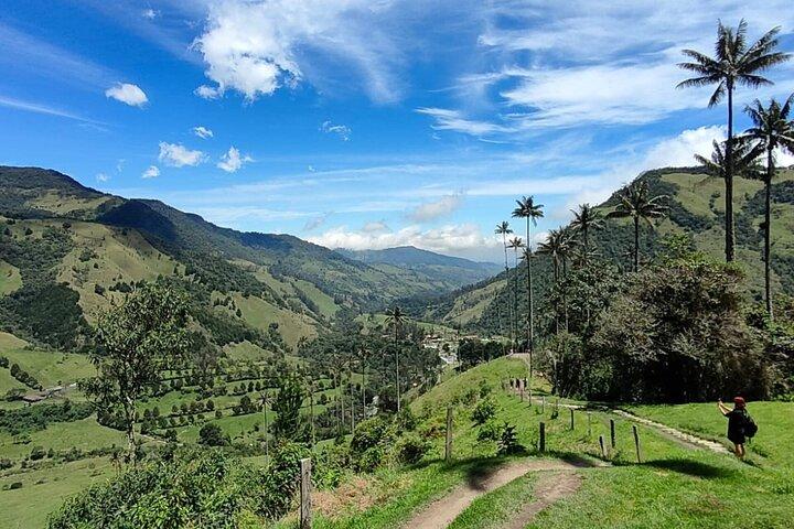 Cocora Valley gedeelde tour