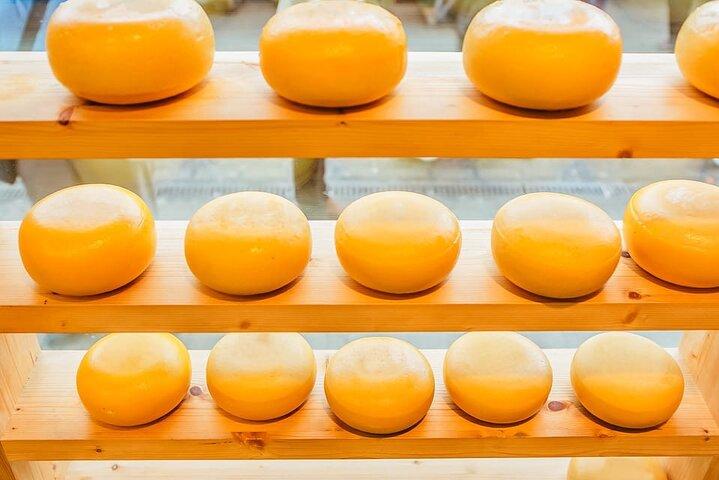 アムステルダムでワインと一緒にオランダチーズの試飲体験