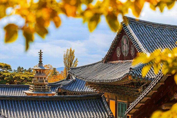 7 Highlights Gyeongju City One Day Group Tour from Busan