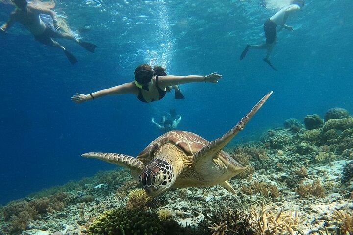 Gili Island Exclusieve privé snorkelen onderwater Escape