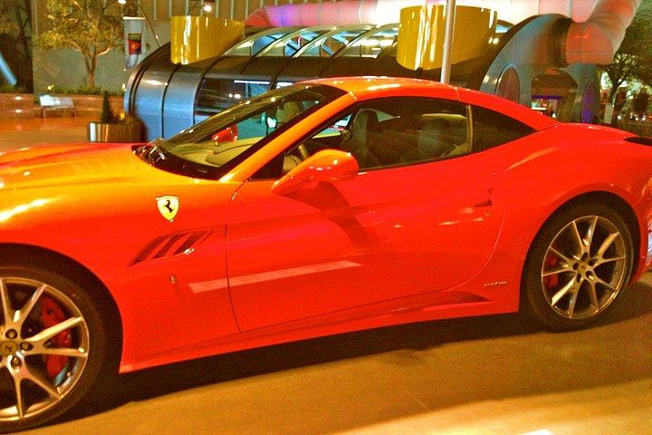 Full Day Yas Island Theme Parks Private Tour