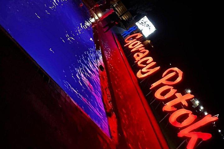 ザコパネとタトラ山脈と温泉プライベートツアー