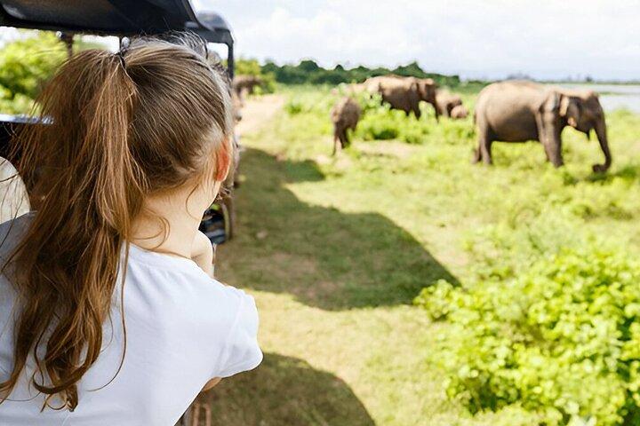 Tour privato da Galle a Ella con Safari Udawalawe