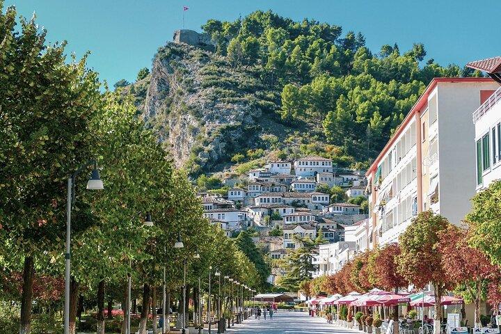 Tour de um dia privado de Apollonia e Berat a partir de Tirana ou Durres