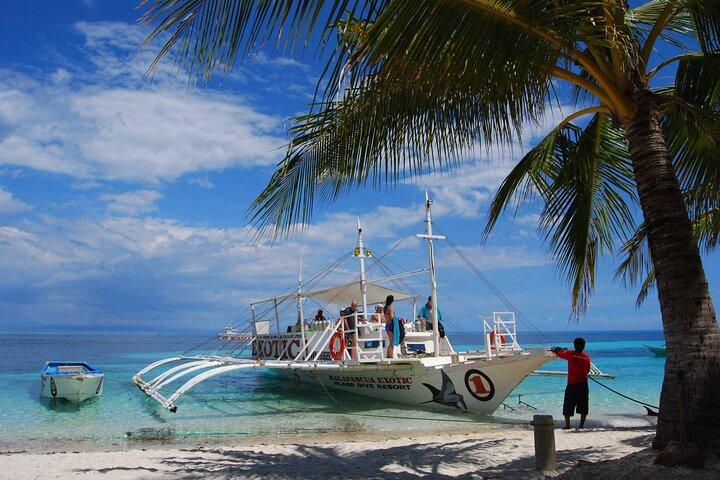 Malapascua Island Day Tour from Cebu City Snorkeling Adventure
