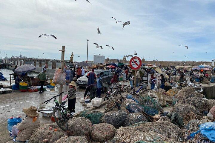 Essaouira Day Trip from Marrakech: Coastal Charm Medina Discovery