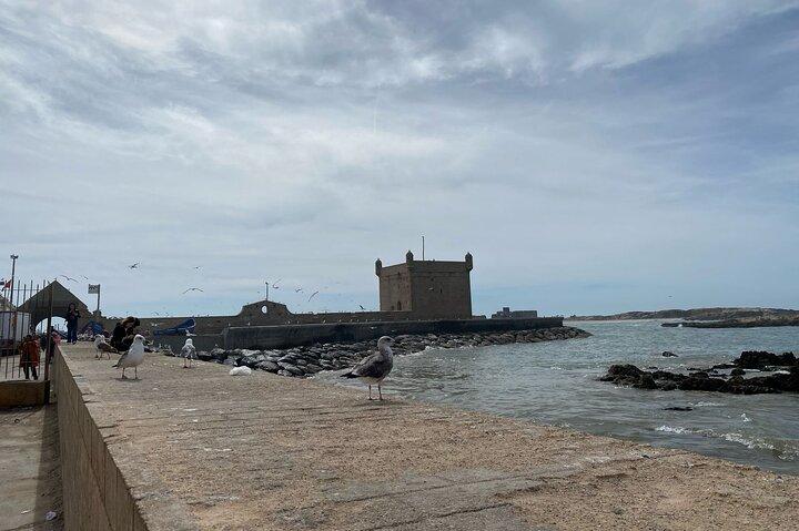 Essaouira Day Trip from Marrakech: Coastal Charm Medina Discovery