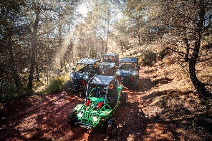 Passeios panorâmicos de buggy em Benidorm