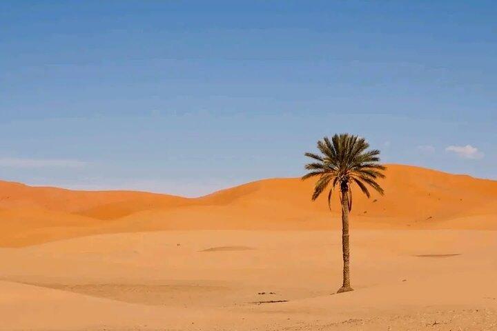 Excursion de 3 Jours Marrakech vers Désert du Sahara Dunes Oasis