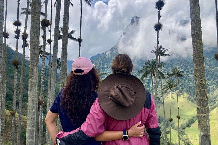 Visite privée d'une journée complète dans la vallée de Cocora et la ferme de café