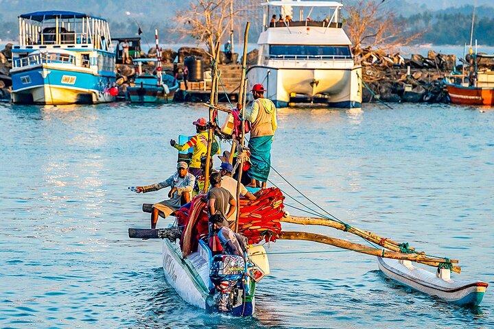 Private 8 Tage Sri Lanka Familientour mit exklusivem Auto