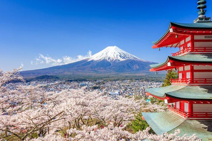 Mount Fuji and Hakone Private Van Tour