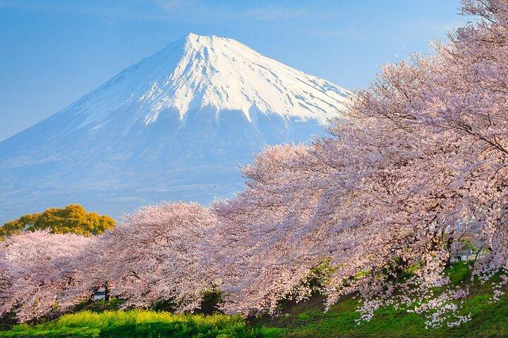 Mount Fuji and Hakone Private Van Tour