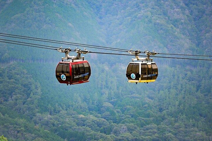 Mount Fuji and Hakone Private Van Tour
