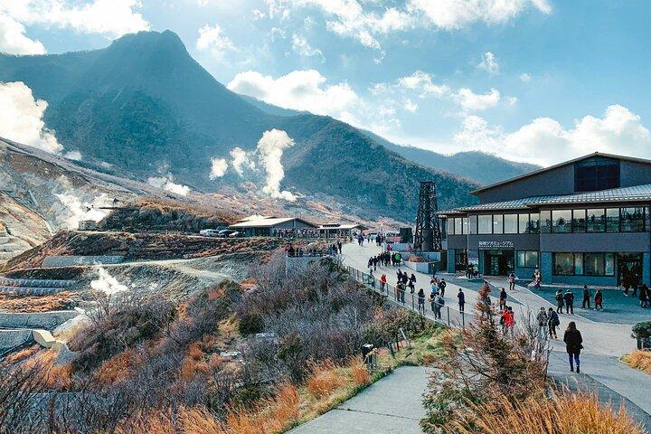 Mount Fuji and Hakone Private Van Tour