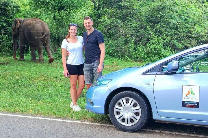 Private Tour from Ella to Weligama with Udawalawe Safari
