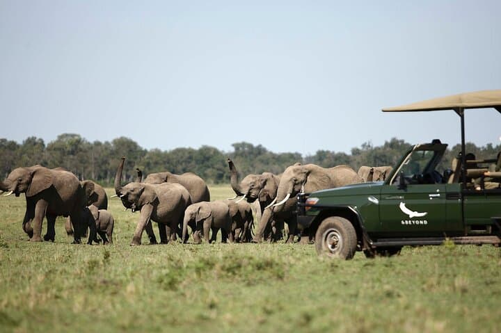 Four Day and Beyond Kichwa Tembo Luxury Safari