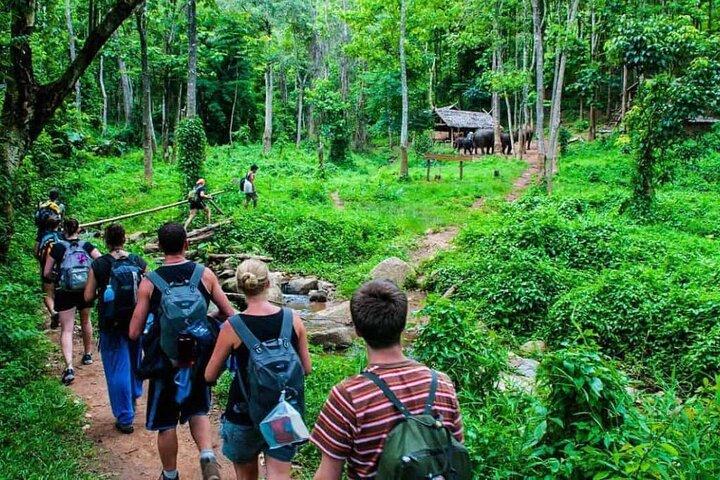 3-dages Chiang Mai Jungle Trek og Bambus Rafting