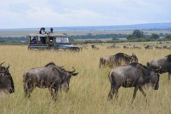 Safari privato di un giorno al Parco nazionale di Nairobi