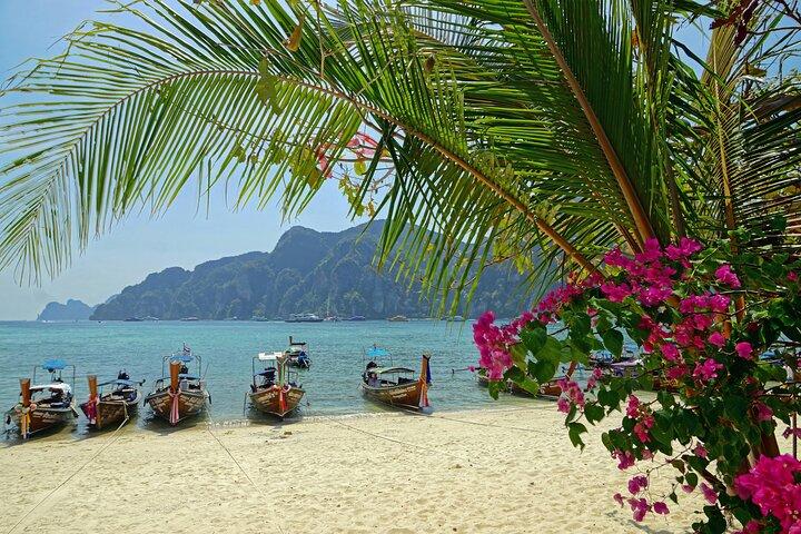 Ko Phi Phi Don Speedboat Tour Experience