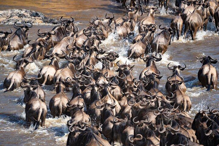 3 dagar Masai Mara korsning