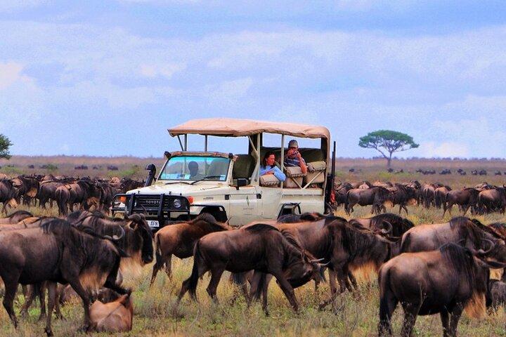 Explorez Arusha en 7 jours d'aventure au départ de Nairobi