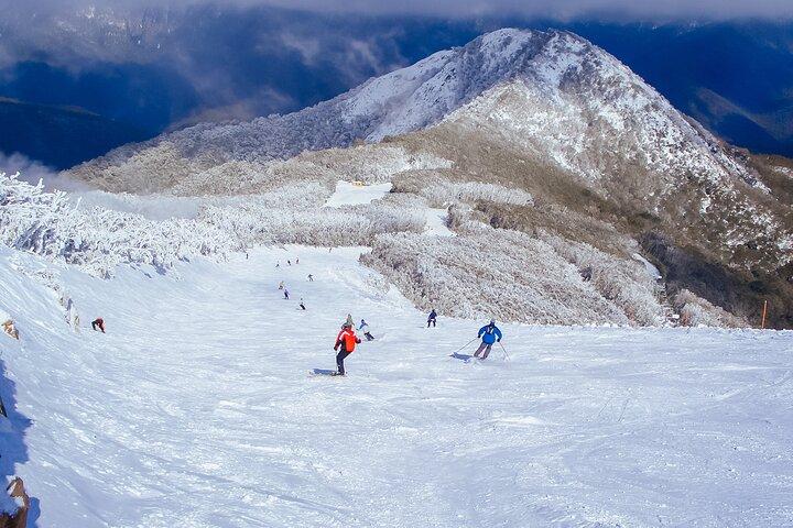 Mt Buller Getaway Day Trip : 毎日出発＆6時間雪の上で楽しむ