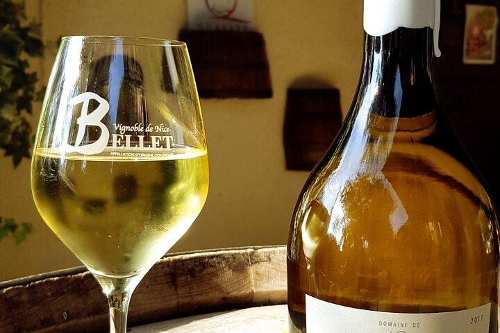 Tour enologico di mezza giornata nella regione vinicola Bellet da Nizza