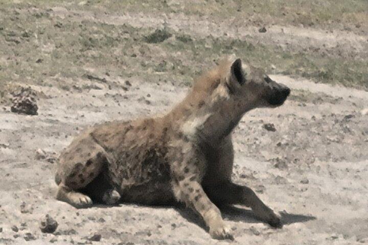 2 Days 1 Night Amboseli National Park