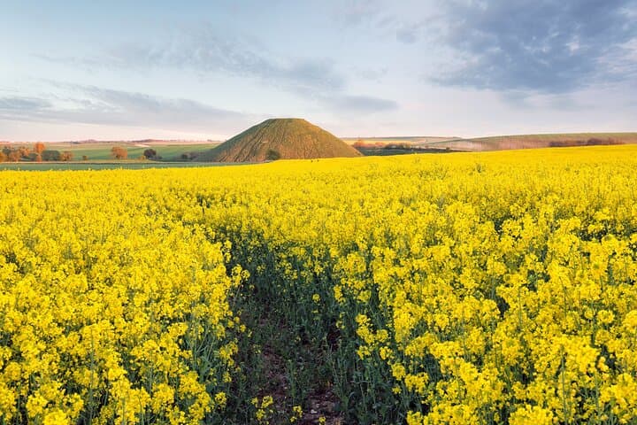Private Archaeologist Guided Tour Stonehenge, Salisbury & Avebury