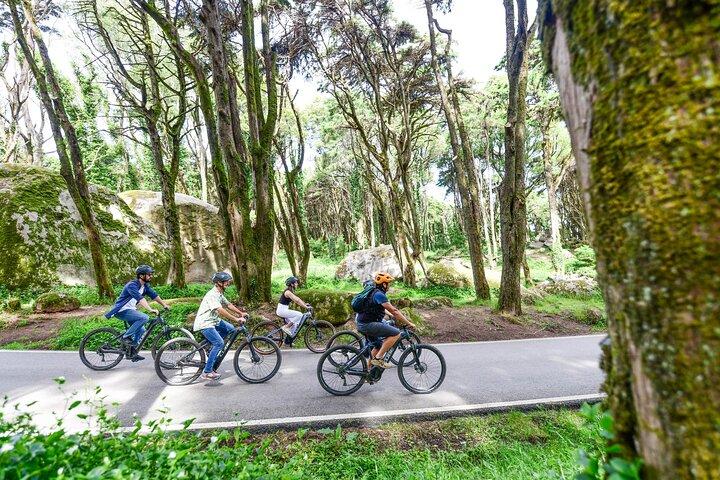 Lisbon : 魔法のシントラ・カスカイe-Bikeツアー