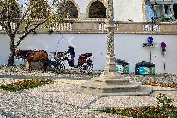 Visita privada a Sintra y Cascais.