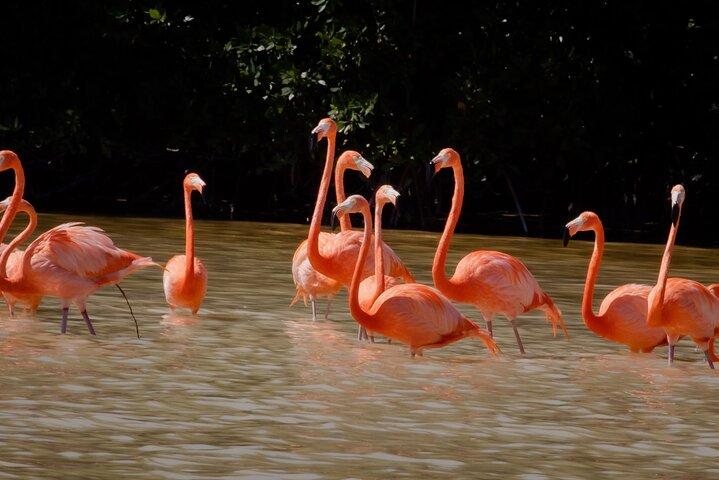 メリダからセレスタン生物圏とビーチデイへの小旅行